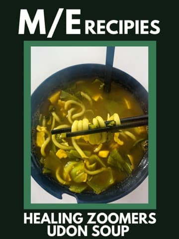 Zoomers Healing Udon Soup