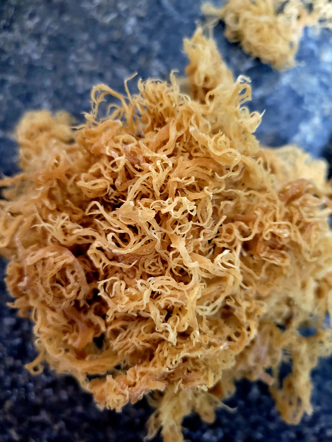 Irish Organic Dried Sea Moss
